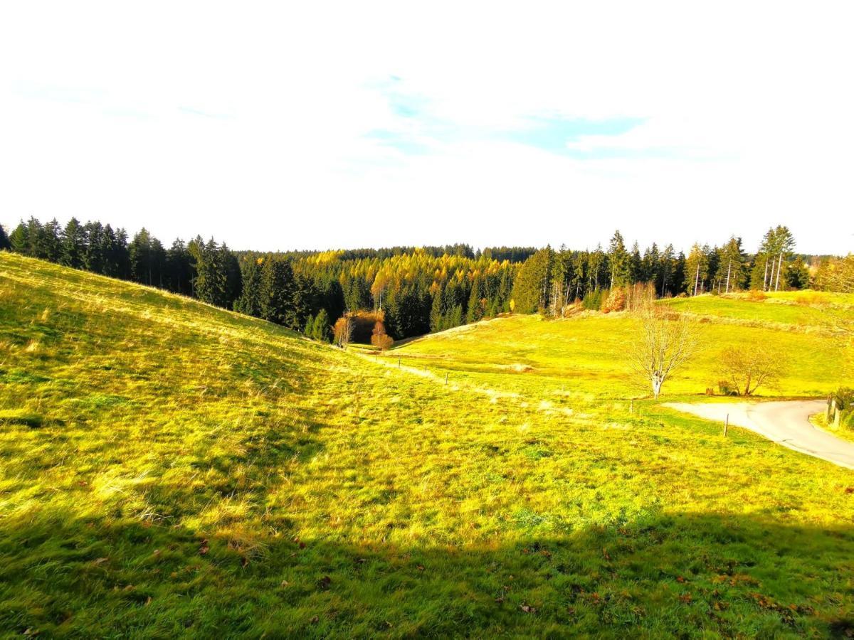 Ferienwohnung Am Bergmannsbrunnen Schönheide Exterior foto